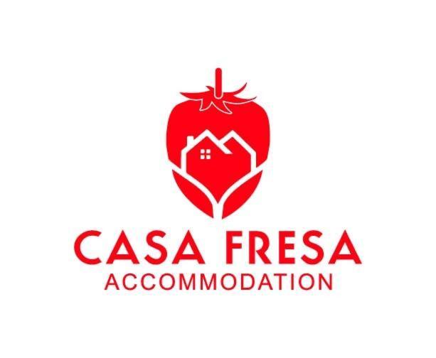 Casa Fresa - King Street Apartments 던디 외부 사진